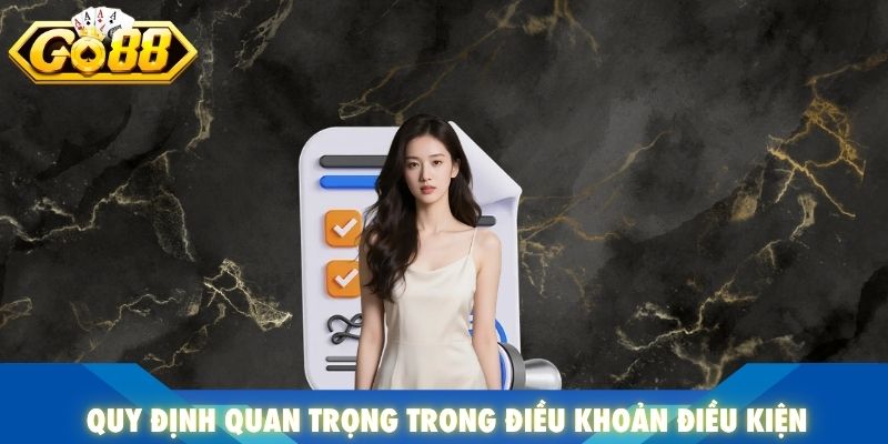Quy định quan trọng trong điều khoản điều kiện